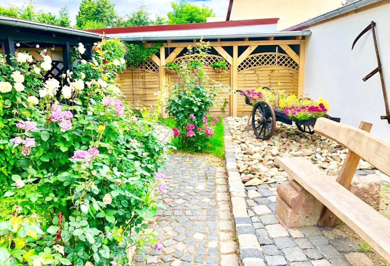 6 Apartment Grimma
